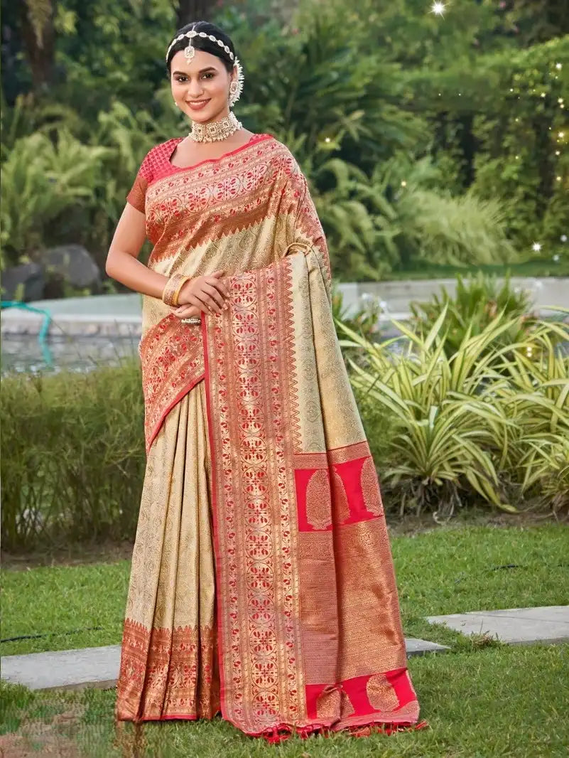 Astita Sarees Showcase The Rich Heritage Of Banarasi Silk Featuring Intricate Weaving