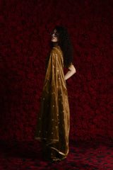 AKSHAYA Sarees Crafted From Fine Net Organza Feature Exquisite Handwork Lace Detailing